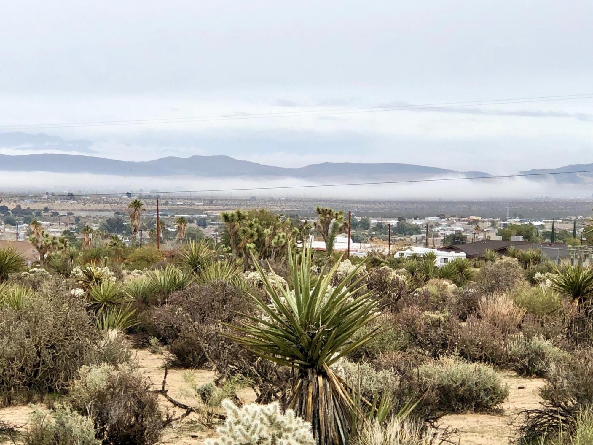 Cozy Desert Retreat With Amazing Views Only 4 Miles To Jtnp Joshua Tree Exterior photo
